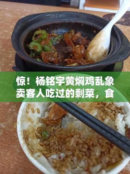 杨铭宇黄焖鸡乱象:卖客人吃过的剩菜