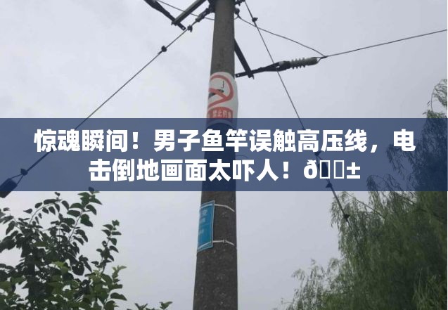 男子鱼竿误触高压线瞬间被电倒地