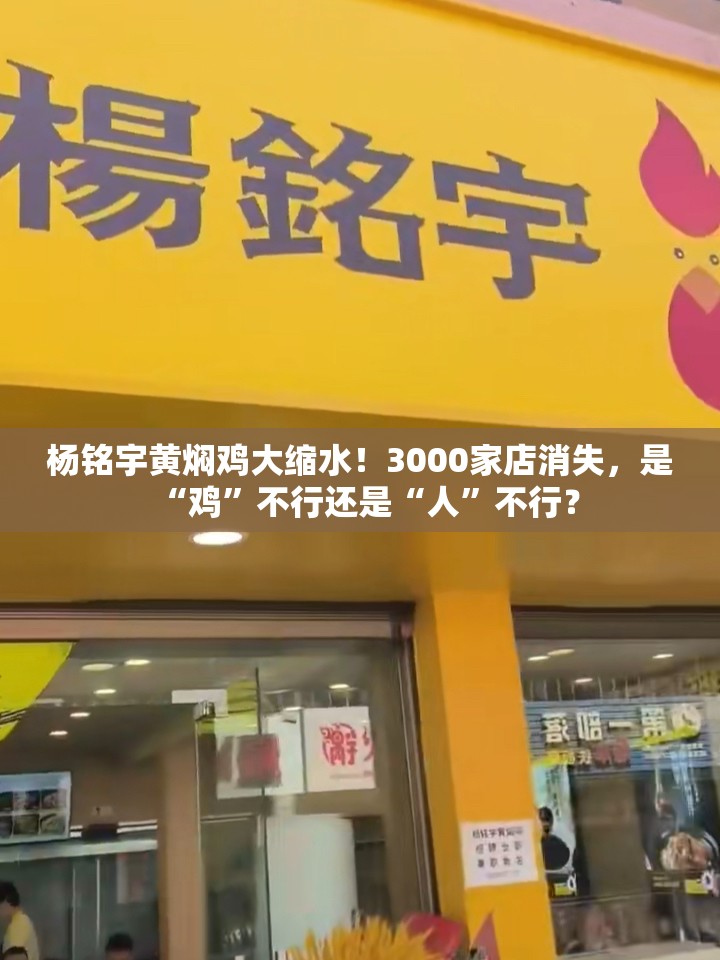 杨铭宇黄焖鸡大缩水！3000家店消失，是“鸡”不行还是“人”不行？