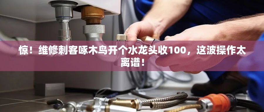 惊！维修刺客啄木鸟开个水龙头收100，这波操作太离谱！