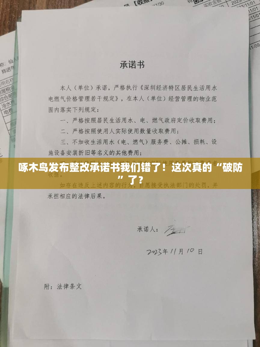 啄木鸟发布整改承诺书我们错了！这次真的“破防”了？