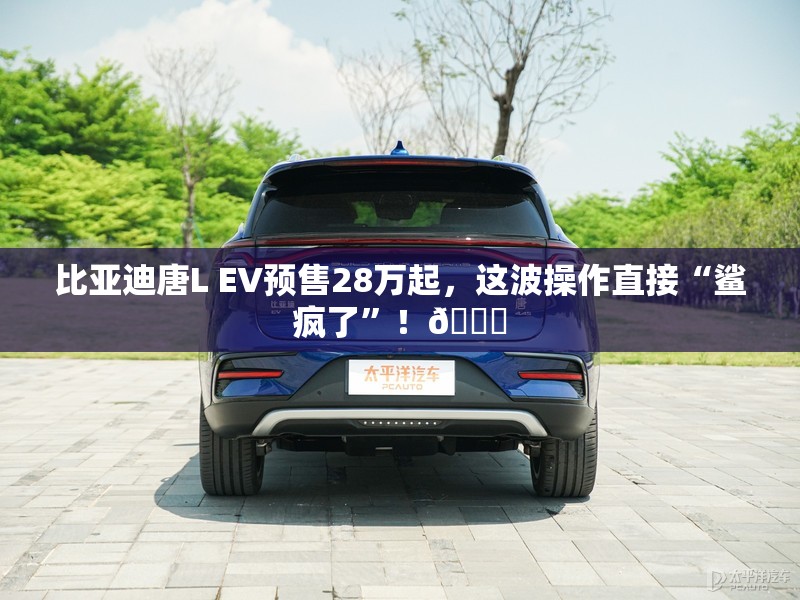 比亚迪唐L EV预售28万起