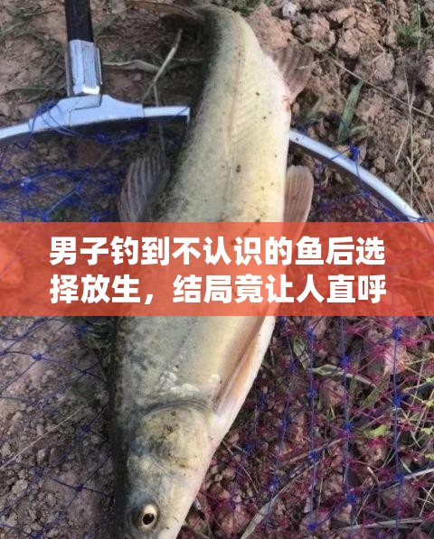 男子钓到不认识的鱼后选择放生