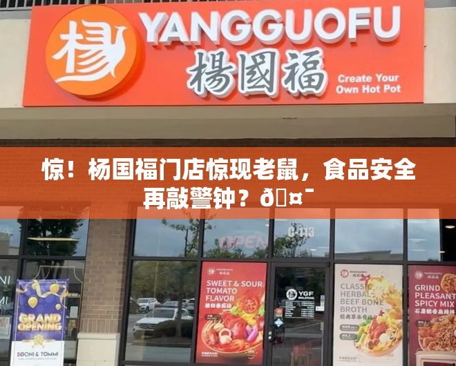 惊！杨国福门店惊现老鼠，食品安全再敲警钟？🤯