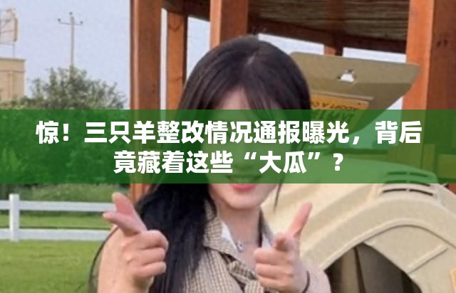 惊！三只羊整改情况通报曝光，背后竟藏着这些“大瓜”？