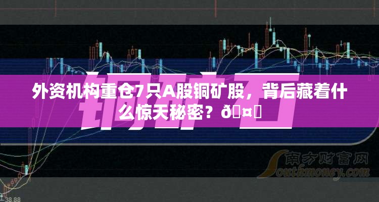 外资机构重仓7只A股铜矿股，背后藏着什么惊天秘密？🤔